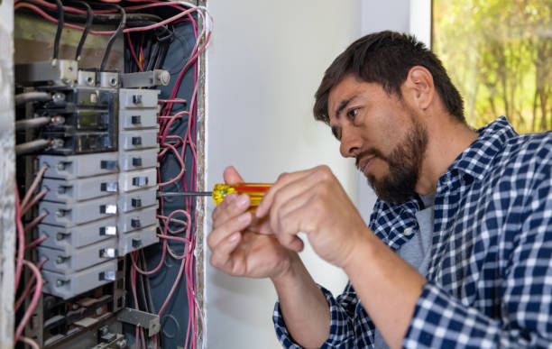 Best Electric Panel Repair  in Windsor, MO